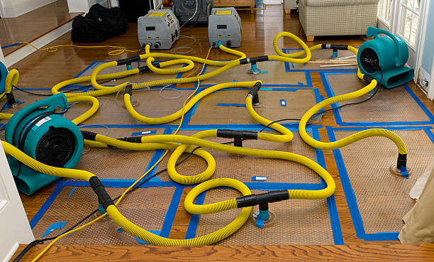 Professional Water Damage Restoration technician working in Kingston, IL
